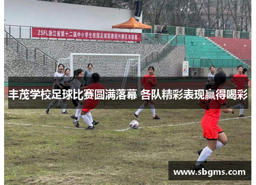 丰茂学校足球比赛圆满落幕 各队精彩表现赢得喝彩