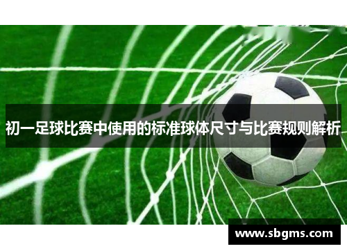 初一足球比赛中使用的标准球体尺寸与比赛规则解析