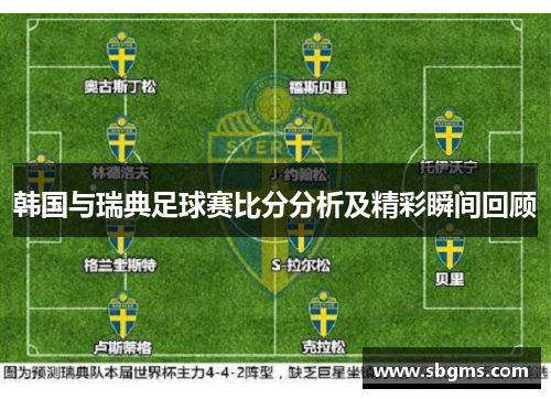 韩国与瑞典足球赛比分分析及精彩瞬间回顾